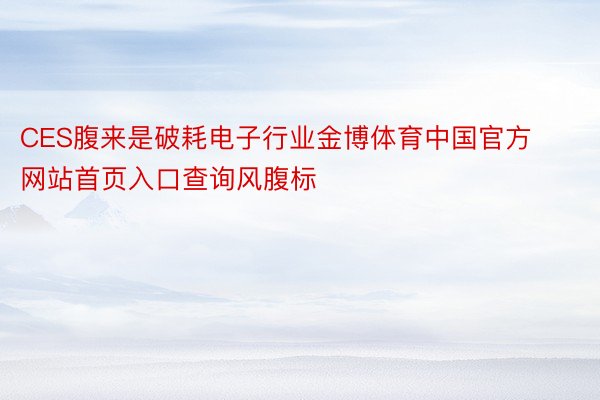 CES腹来是破耗电子行业金博体育中国官方网站首页入口查询风腹标