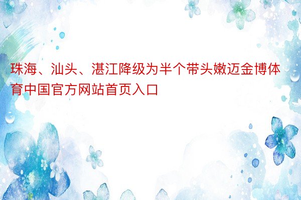 珠海、汕头、湛江降级为半个带头嫩迈金博体育中国官方网站首页入口