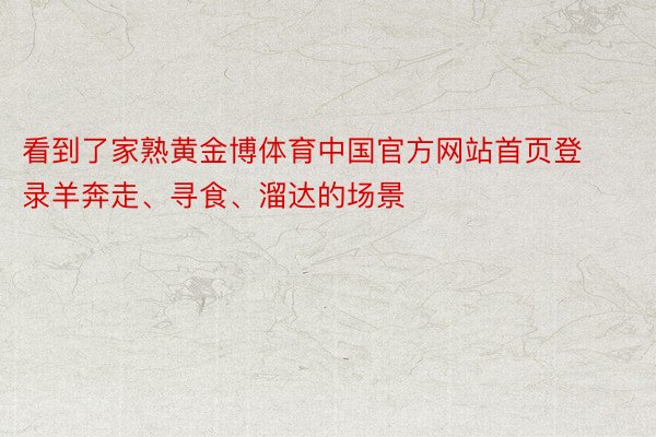 看到了家熟黄金博体育中国官方网站首页登录羊奔走、寻食、溜达的场景