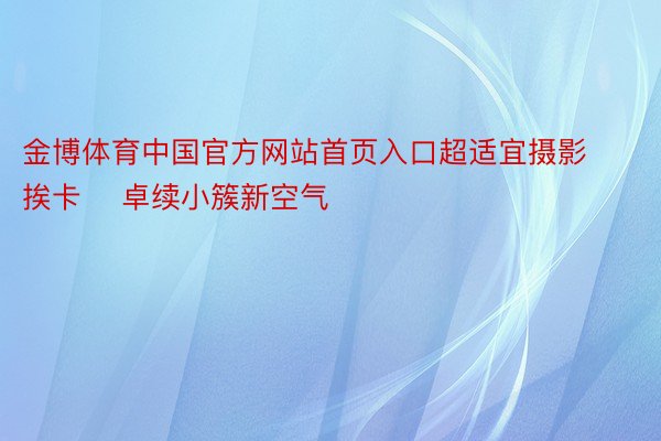 金博体育中国官方网站首页入口超适宜摄影挨卡    卓续小簇新空气